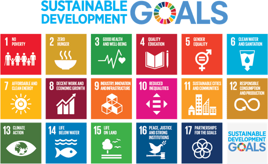 UN Sustainability Goals